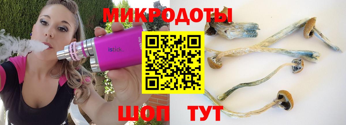Галлюциногенные грибы мицелий Урус-Мартан